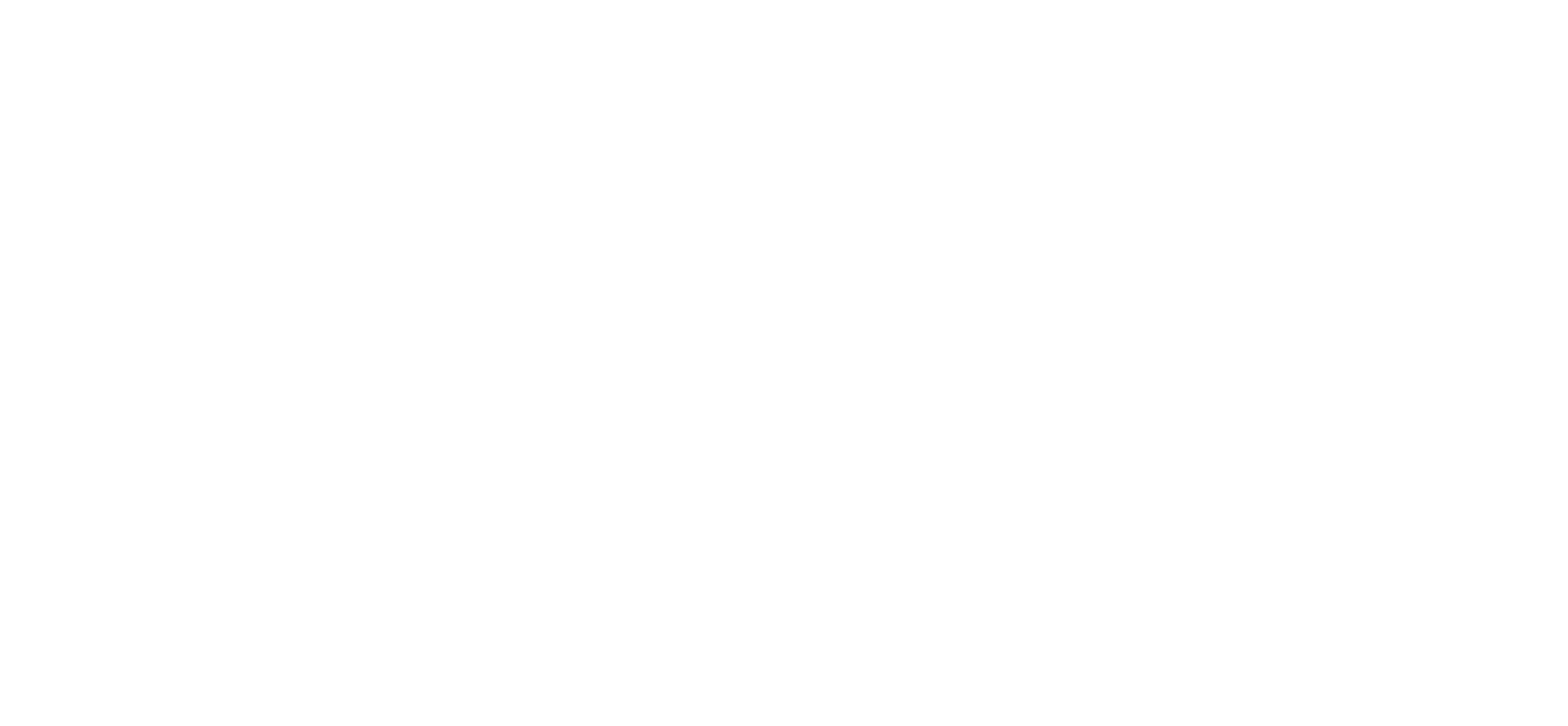 Zelle-logo-no-tagline-white